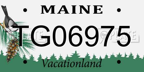 TG06975 Maine License Plate
