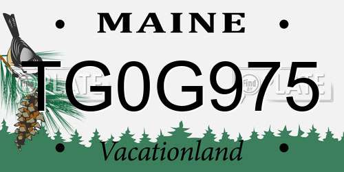TG0G975 Maine License Plate