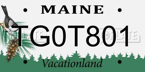 TG0T801 Maine License Plate
