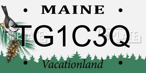 TG1C3Q Maine License Plate