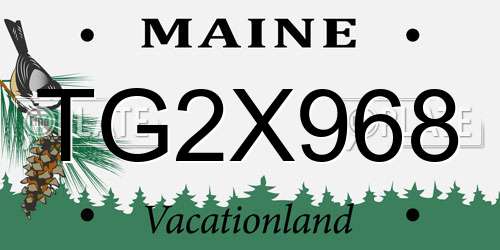 TG2X968 Maine License Plate