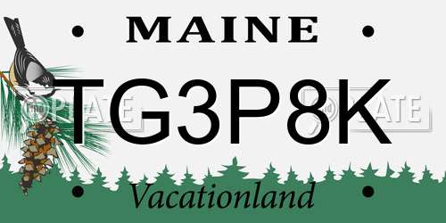 TG3P8K Maine License Plate