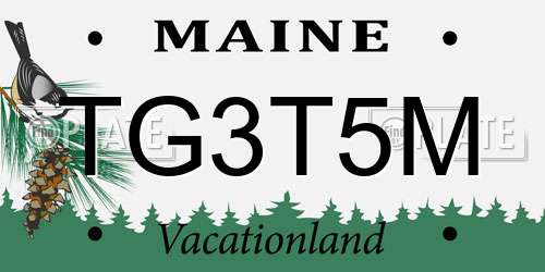 TG3T5M Maine License Plate