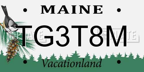 TG3T8M Maine License Plate