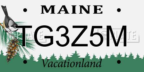 TG3Z5M Maine License Plate