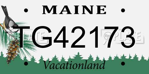 TG42173 Maine License Plate