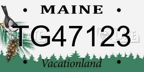 TG47123 Maine License Plate