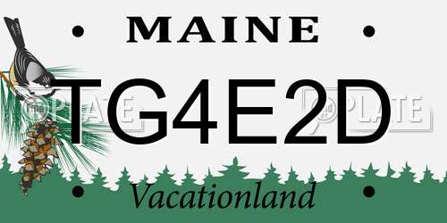 TG4E2D Maine License Plate