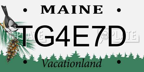 TG4E7D Maine License Plate