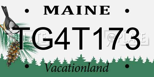 TG4T173 Maine License Plate