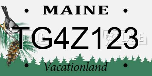 TG4Z123 Maine License Plate