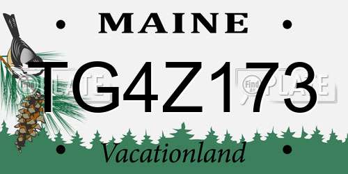 TG4Z173 Maine License Plate