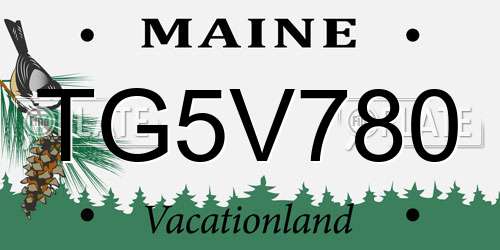 TG5V780 Maine License Plate