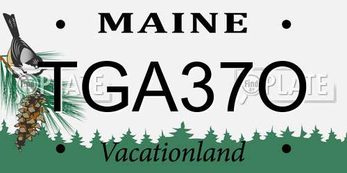 TGA37O Maine License Plate