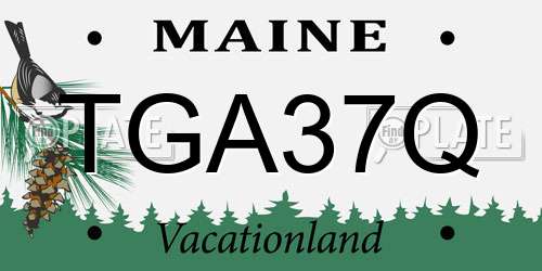 TGA37Q Maine License Plate