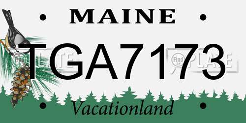 TGA7173 Maine License Plate