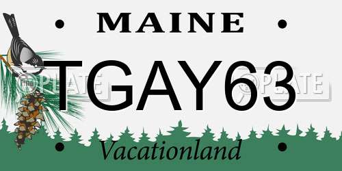 TGAY63 Maine License Plate