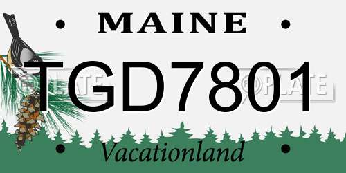 TGD7801 Maine License Plate