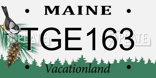 TGE163 Maine License Plate