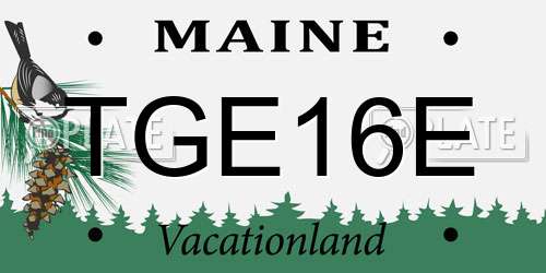 TGE16E Maine License Plate