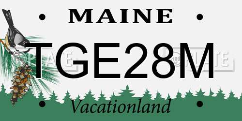 TGE28M Maine License Plate