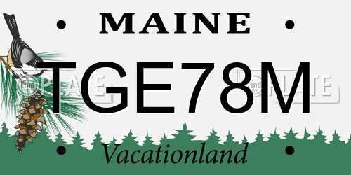 TGE78M Maine License Plate