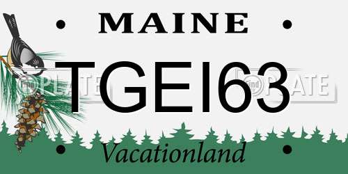 TGEI63 Maine License Plate
