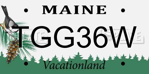 TGG36W Maine License Plate