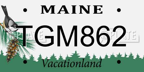 TGM862 Maine License Plate