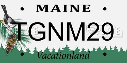 TGNM29 Maine License Plate