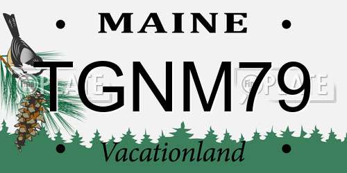TGNM79 Maine License Plate