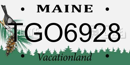 TGO6928 Maine License Plate