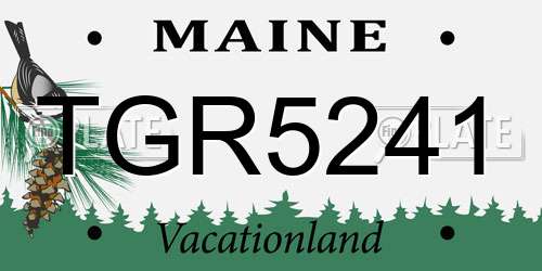 TGR5241 Maine License Plate