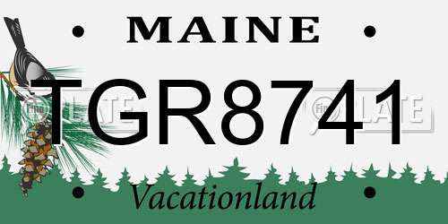 TGR8741 Maine License Plate
