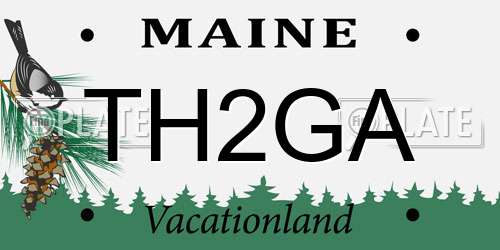 TH2GA Maine License Plate