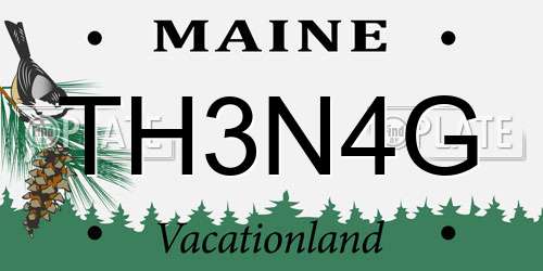 TH3N4G Maine License Plate