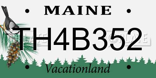 TH4B352 Maine License Plate