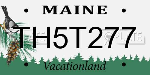 TH5T277 Maine License Plate