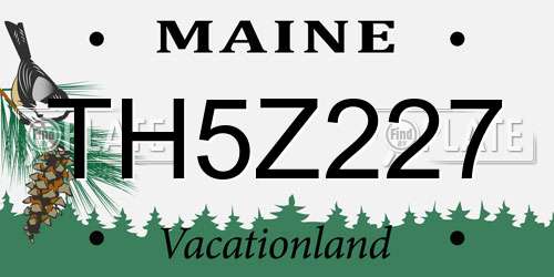 TH5Z227 Maine License Plate
