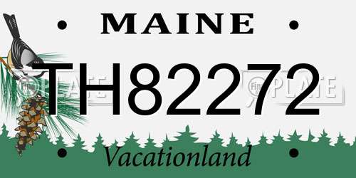 TH82272 Maine License Plate