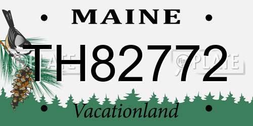 TH82772 Maine License Plate