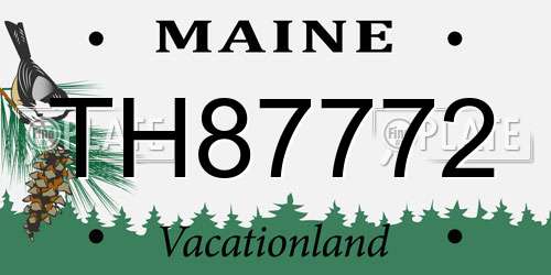 TH87772 Maine License Plate