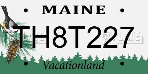 TH8T227 Maine License Plate