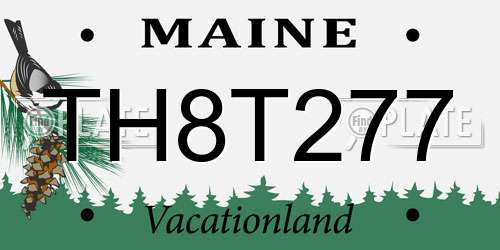 TH8T277 Maine License Plate