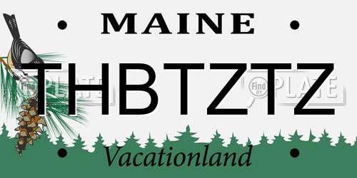 THBTZTZ Maine License Plate