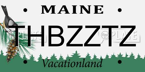 THBZZTZ Maine License Plate