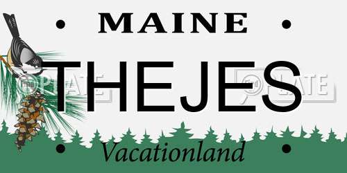 THEJES Maine License Plate
