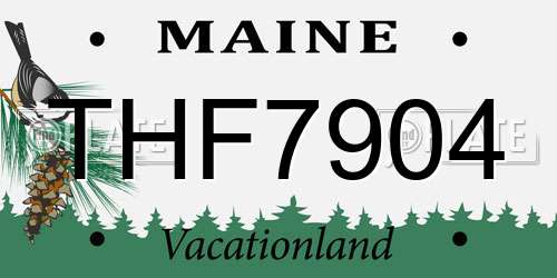 THF7904 Maine License Plate