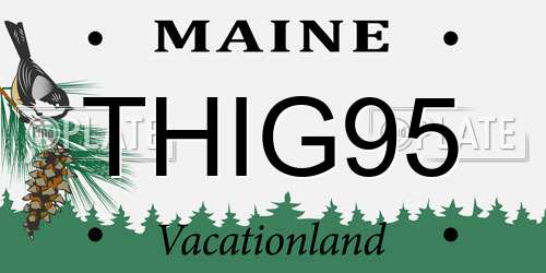 THIG95 Maine License Plate