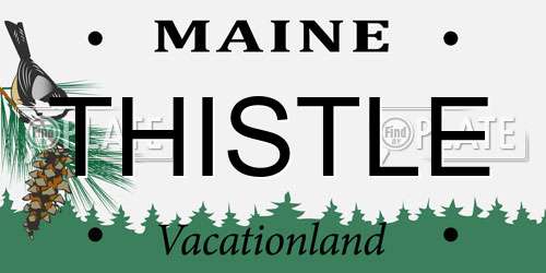 THISTLE Maine License Plate